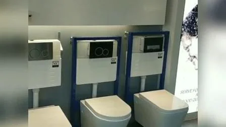 衛生陶器透かし認定トイレ隠蔽トイレ水槽